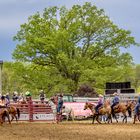 Cowboys lineup for the Rodeo