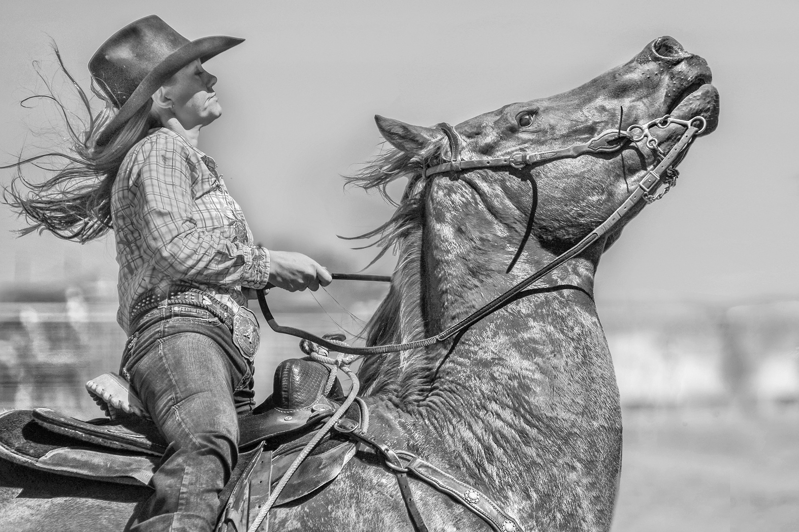 Cowgirl auf stürmischen Rappen