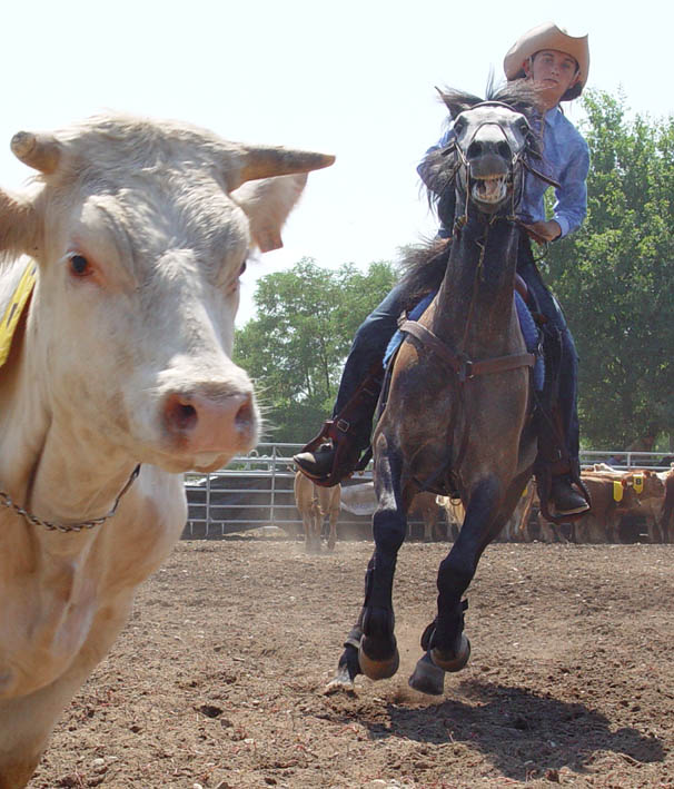 Cowgirl