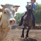 Cowgirl