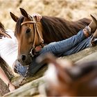 cowgirl