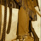 CowGirl-Equipment