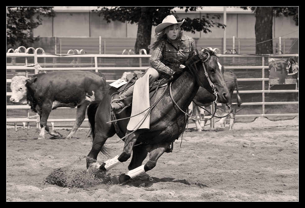 Cowgirl im Einsatz