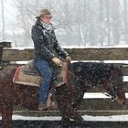 " Cowgirl" im westfälischen Winter.....