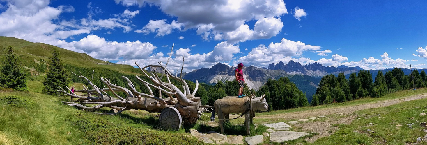 Cowgirl in den Alpen