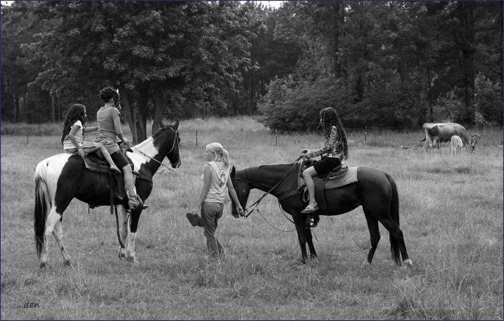 Cowgirls checking on mama and calf.....