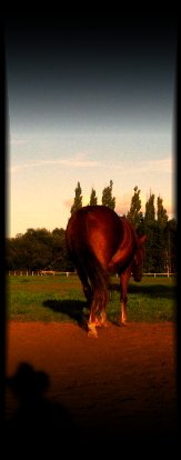 Cowgirl´s mirror