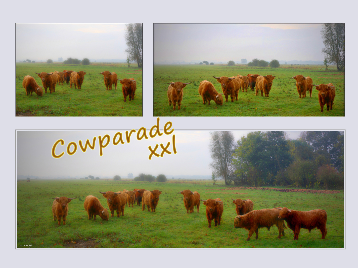 Cowparade - xxl