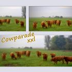 Cowparade - xxl