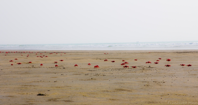 Cox's Bazar