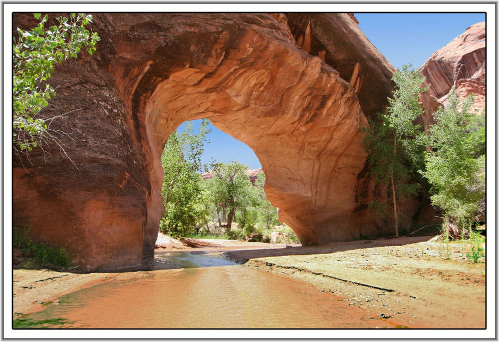 Coyote bridge