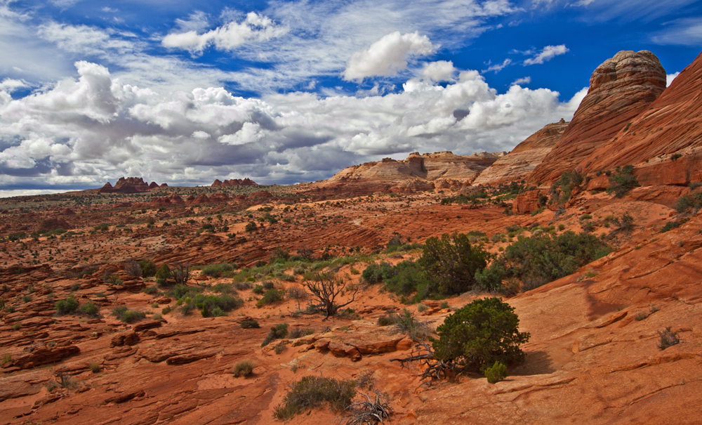 Coyote Buttes