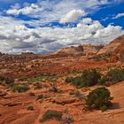 Coyote Buttes