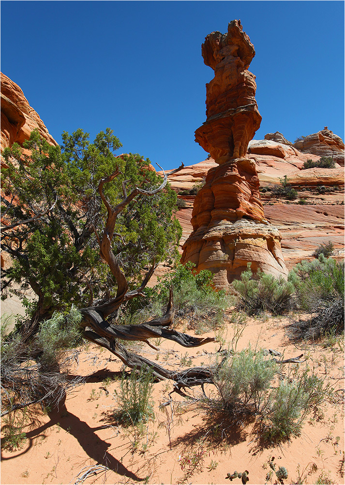 Coyote Buttes Area