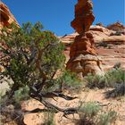 Coyote Buttes Area