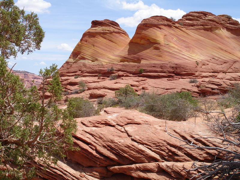 coyote buttes, arizona