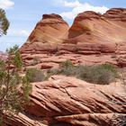 coyote buttes, arizona