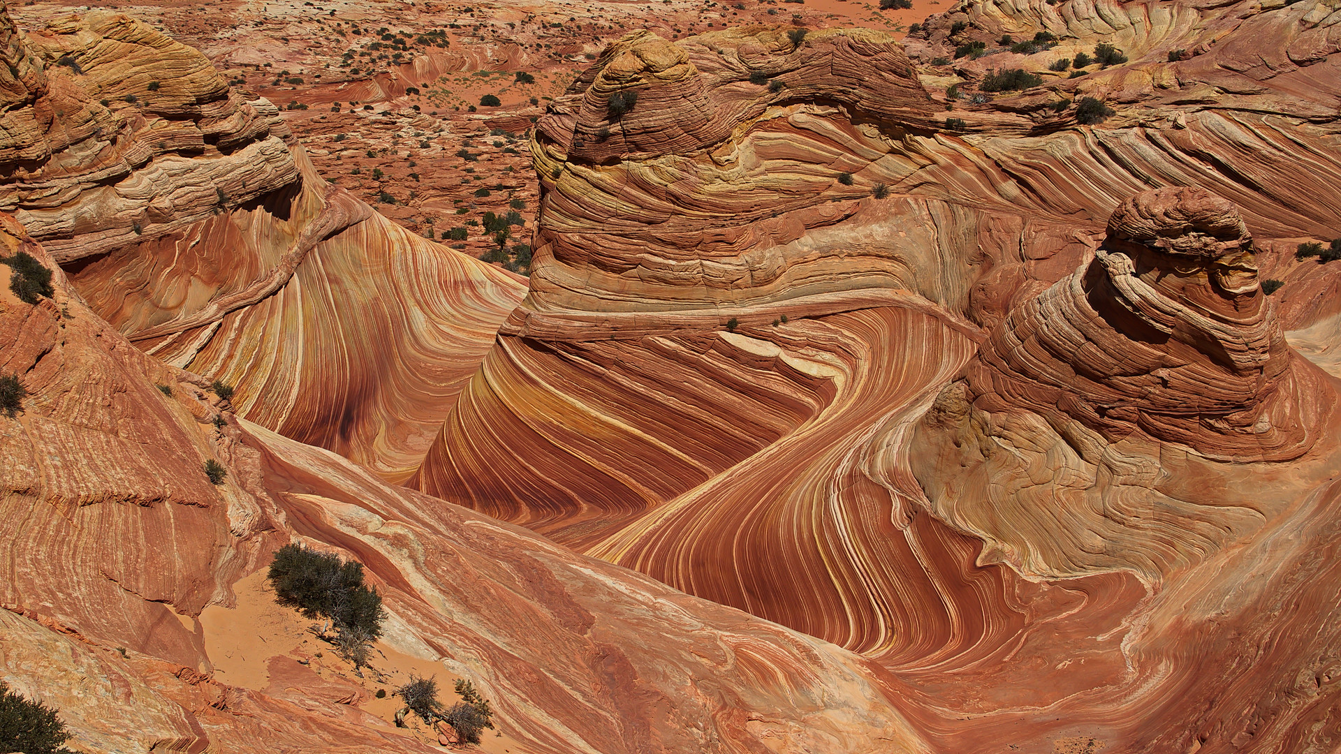 Coyote Buttes North