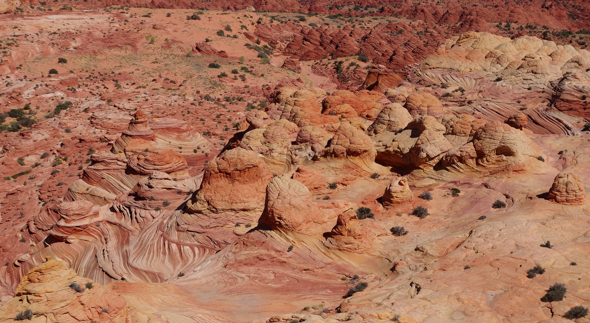 Coyote Buttes North - Ansicht von oben