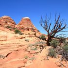 Coyote Buttes North, Arizona/Utah, USA 2015