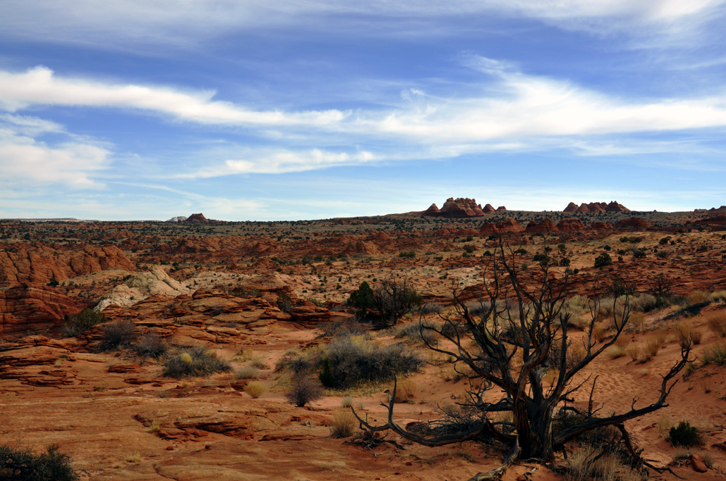 coyote buttes north