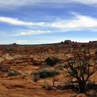 coyote buttes north