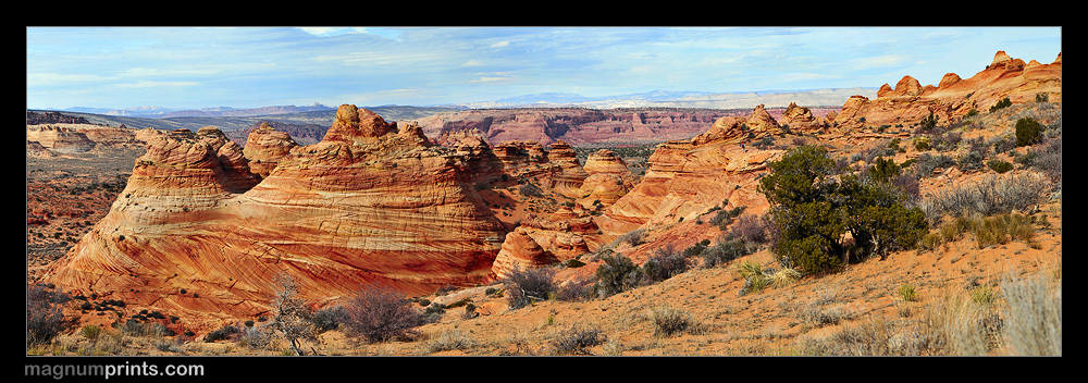 ..:: COYOTE BUTTES PANORAMA ::..