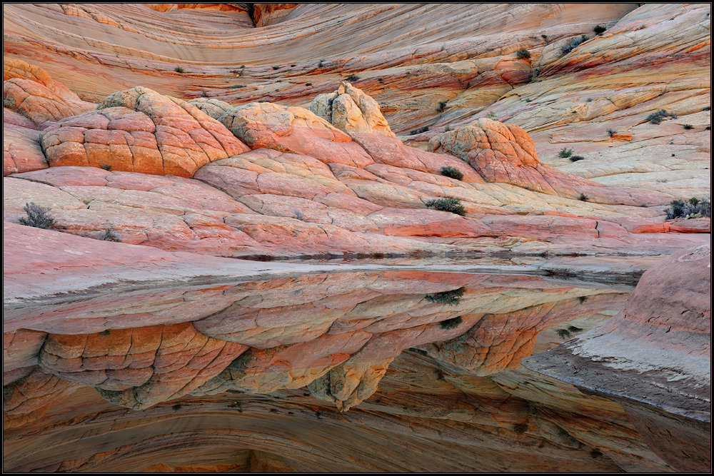 *Coyote Buttes Reflections II*