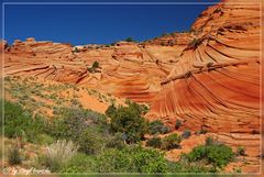 Coyote Buttes South...