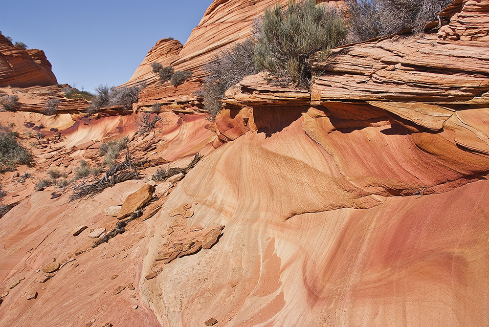 +++ Coyote Buttes South +++