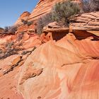 +++ Coyote Buttes South +++