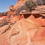 +++ Coyote Buttes South +++