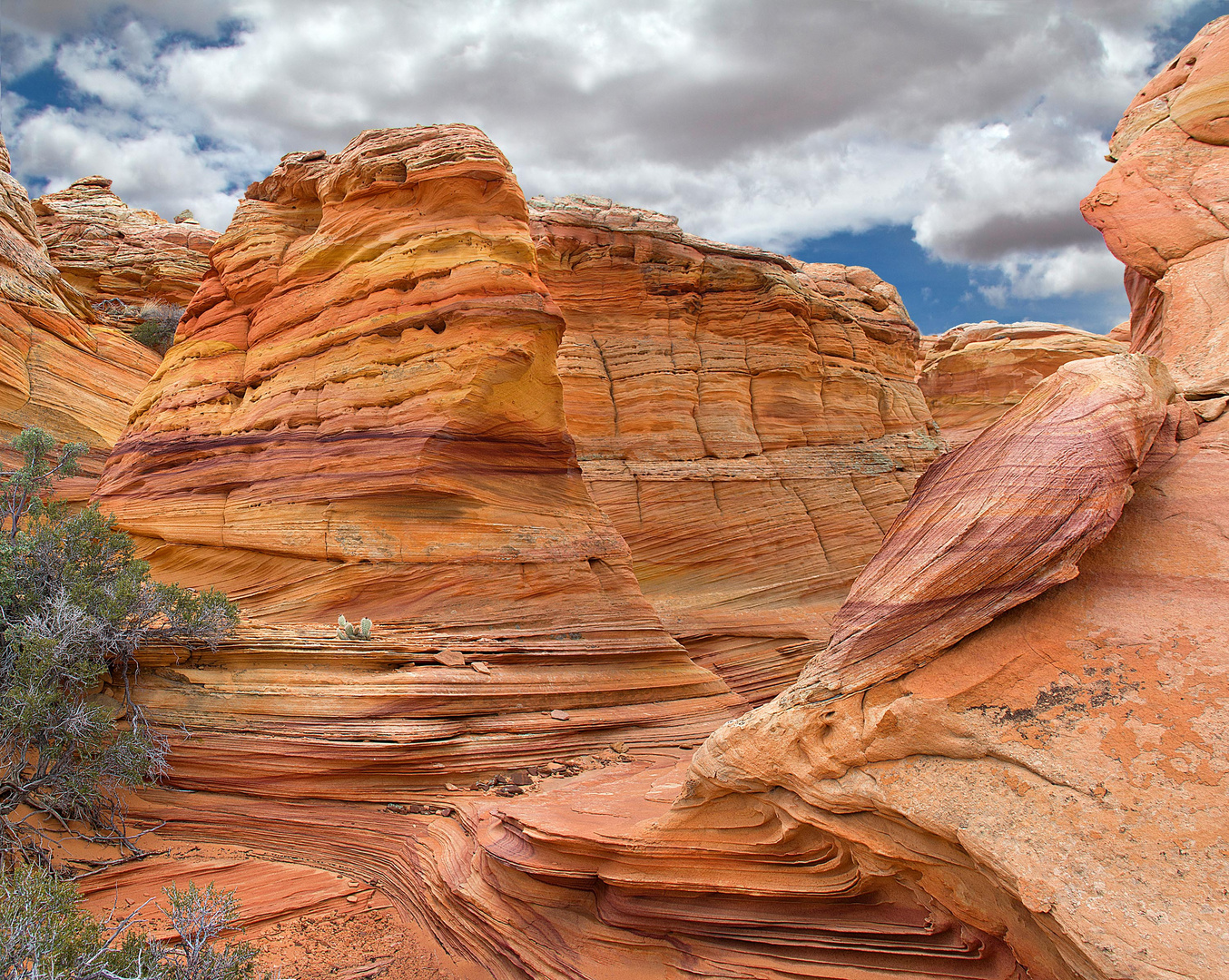 Coyote Buttes South (CBS) - Love It!