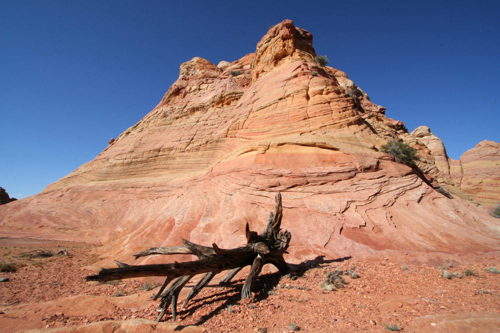 Coyote buttes south III