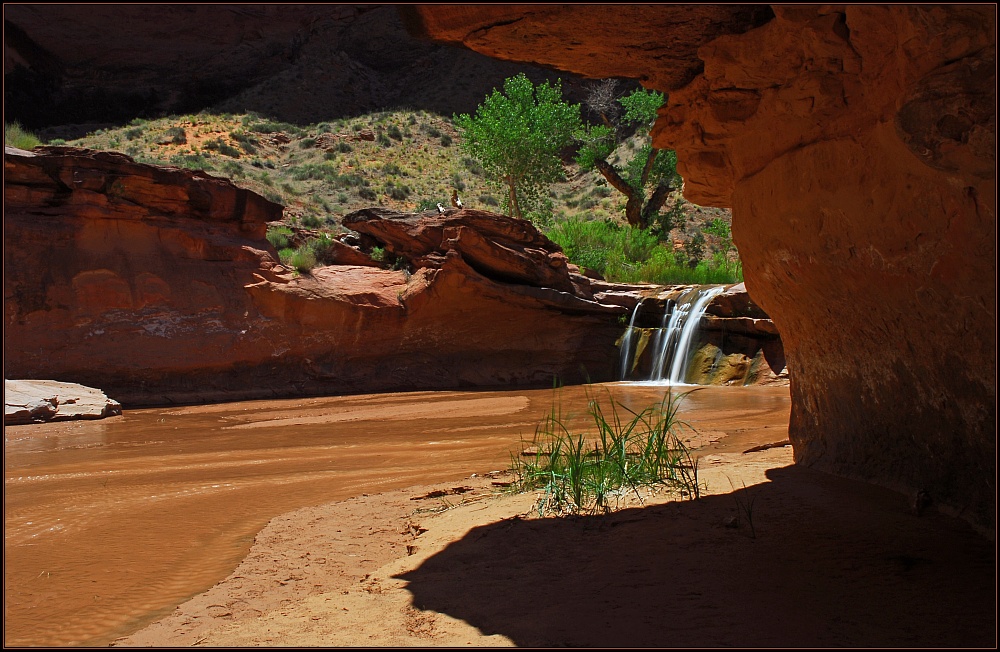 Coyote Gulch