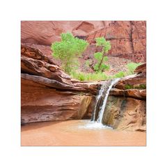 Coyote Gulch: Wanderung im Tal