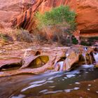 Coyote Gulch Wasserkaskaden