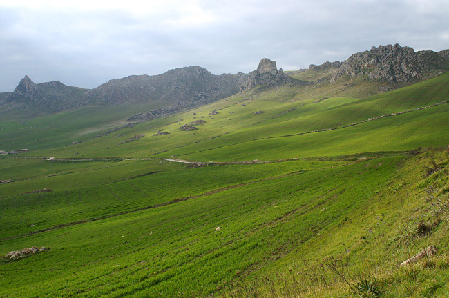 Cozzo Pirtusiddu - Sicily