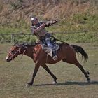 C_PHOTO_PLOHE_R2974