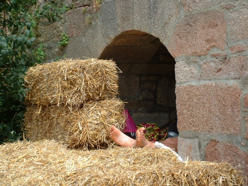 C'qu'on est bien...couché dans le foin!