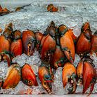 Crab claws to sell out on the market