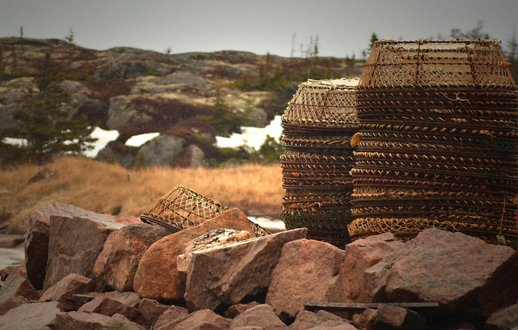 crab fishing basket