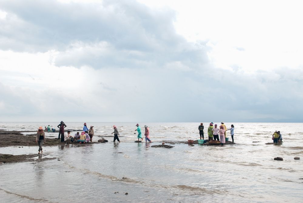 Crab Market in Kep, Cambodia