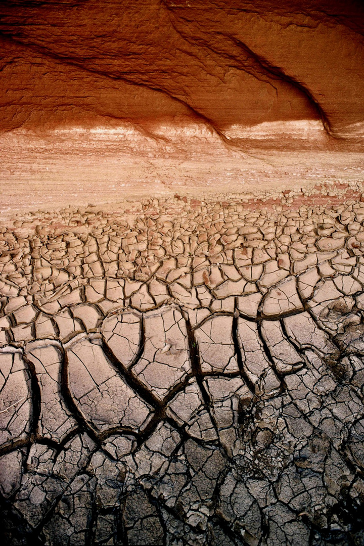 Cracked dried mud in red canyon