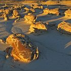 Cracked Eggs at Sunset