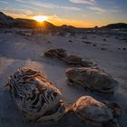 Cracked Eggs, Bisti Badlands (USA)