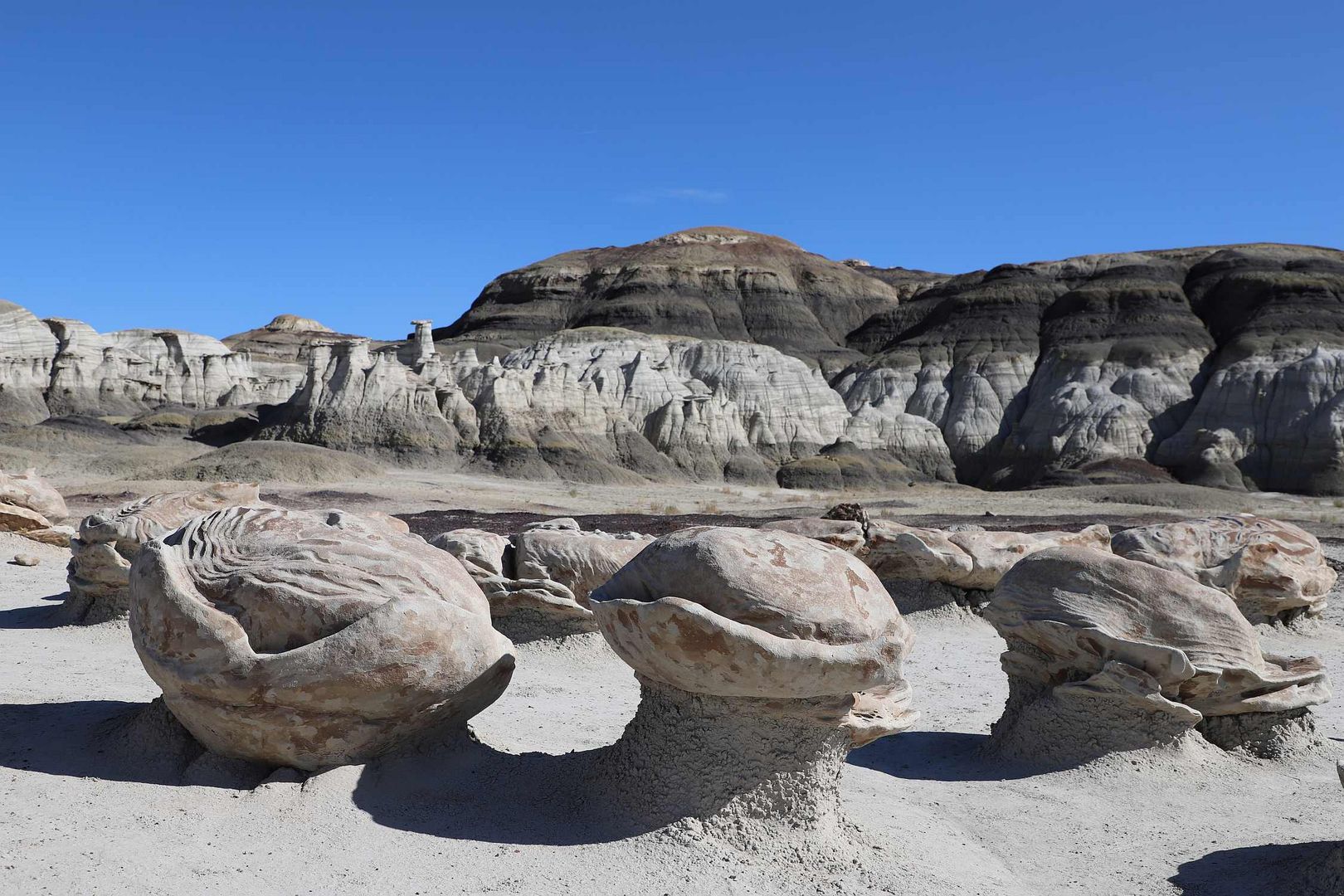 Cracked Eggs / Bisti Wilderness