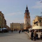 Cracovia