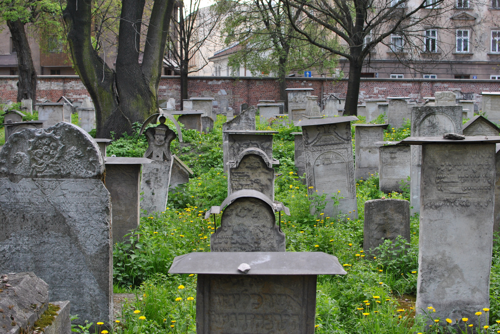 Cracovia - Cimitero ebraico (2)