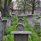Cracovia - Cimitero ebraico (2)